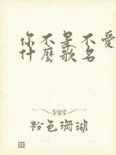 你不是不爱我叫什么歌名