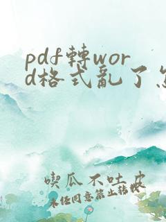pdf转word格式乱了怎么快速调整