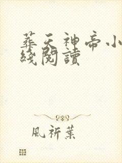 葬天神帝小说在线阅读