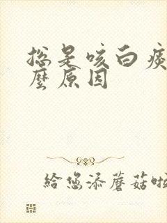 总是咳白痰是什么原因