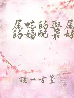 属蛇的与属什么的婚配最好