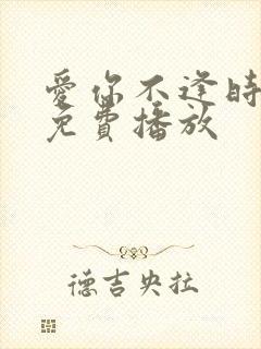 爱你不逢时短剧免费播放