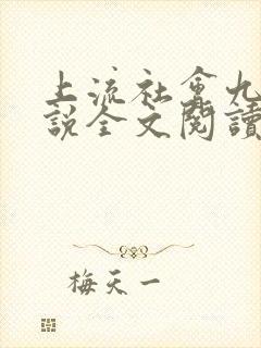 上流社会九铃小说全文阅读番外