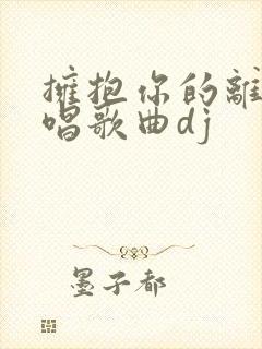 拥抱你的离去原唱歌曲dj