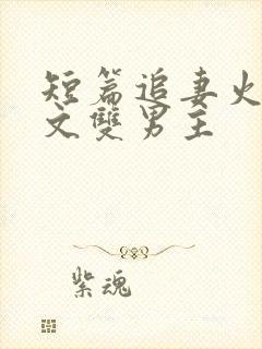 短篇追妻火葬场文双男主