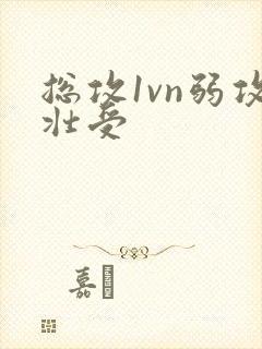 总攻1vn弱攻壮受