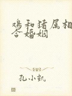 鸡和猪属相合不合婚姻
