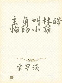 主角叫林皓李静怡的小说