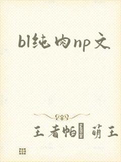 bl纯肉np文