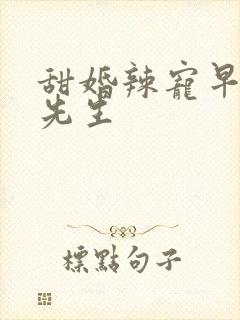 甜婚辣宠早安慕先生