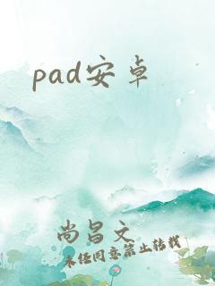 pad安卓