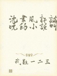 沈聿风许谧宋星晚的小说叫什么名字