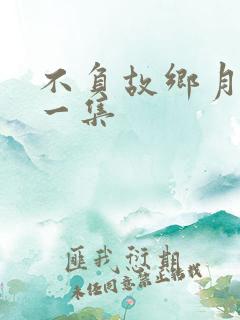 不负故乡月最后一集
