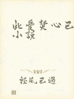 此爱焚心已成烬小说
