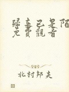归来已是陌路人免费观看