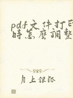 pdf文件打印时怎么调整大小