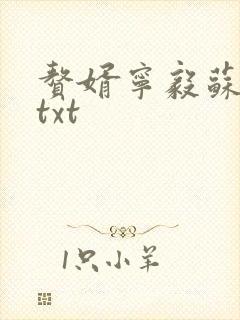 赘婿宁毅苏檀儿txt