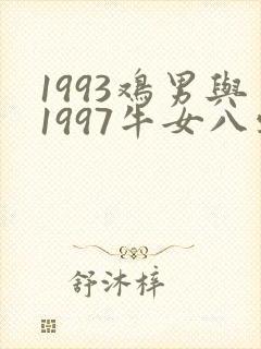 1993鸡男与1997牛女八字