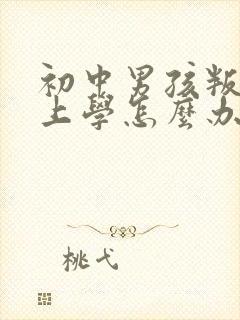 初中男孩叛逆不上学怎么办