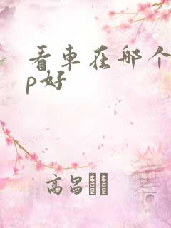看车在哪个app好