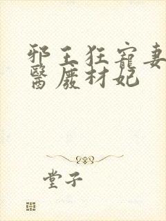 邪王狂宠妻:神医废材妃