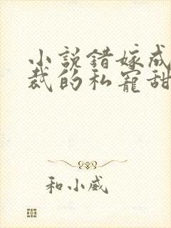 小说错嫁成婚总裁的私宠甜妻
