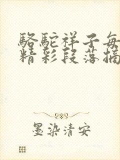 骆驼祥子每一章精彩段落摘抄