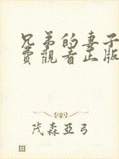 兄弟的妻子9免费观看正版电视剧