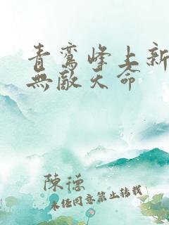 青鸾峰上新书 无敌天命