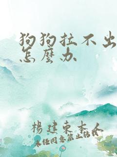 狗狗拉不出屎了怎么办