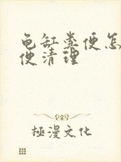 龟缸粪便怎么方便清理