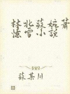 林北苏婉萧晴韩忆雪小说