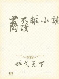 君不离小说免费阅读