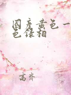 国产黄色一级黄色录相