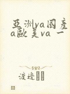 亚洲va国产va欧美va 一