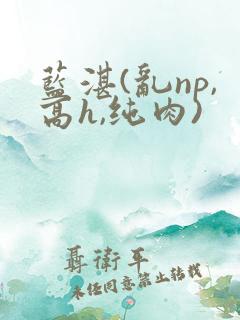 蓝湛(乱np,高h,纯肉)