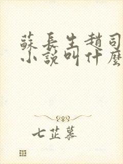 苏长生赵司钰的小说叫什么名字