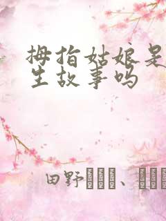拇指姑娘是安徒生故事吗