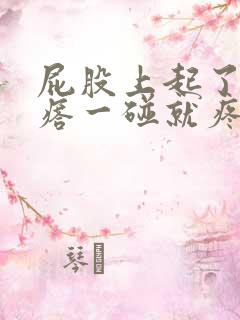 屁股上起了个疙瘩一碰就疼