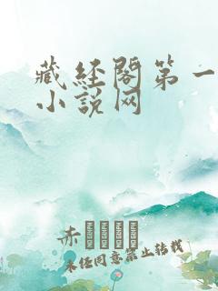 藏经阁第一精品小说网