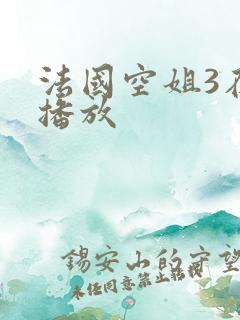 法国空姐3在线播放