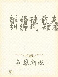 离婚后前夫总想纠缠我 短剧