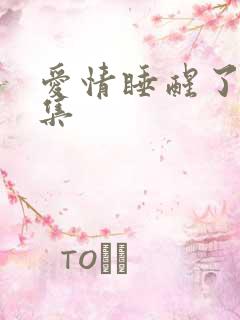 爱情睡醒了29集