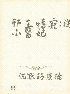 邪王嗜宠:逆天小医妃
