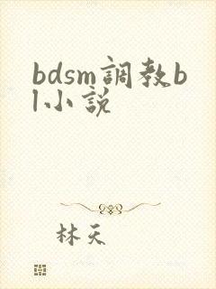 bdsm调教bl小说
