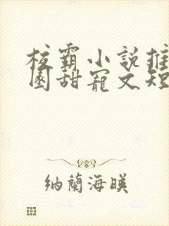 校霸小说推荐校园甜宠文短篇