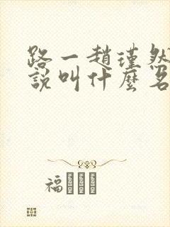 路一赵瑾然的小说叫什么名字
