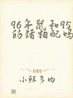 96年鼠和95的猪相配吗