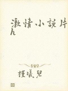 激情小说片段高h