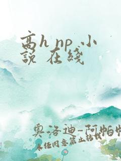 高h np 小说 在线